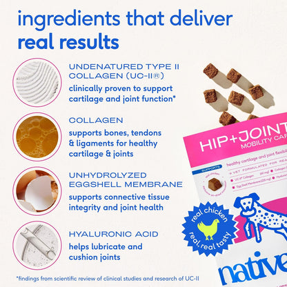 Native Pet Hip & Joint Supplement for Dogs - Advanced Dog Joint & Arthritis Supplement - Helps Maintain Healthy Cartilage, Joint Flexibility, Lubrication, & Function - with ESM & Collagen - 120 Chews