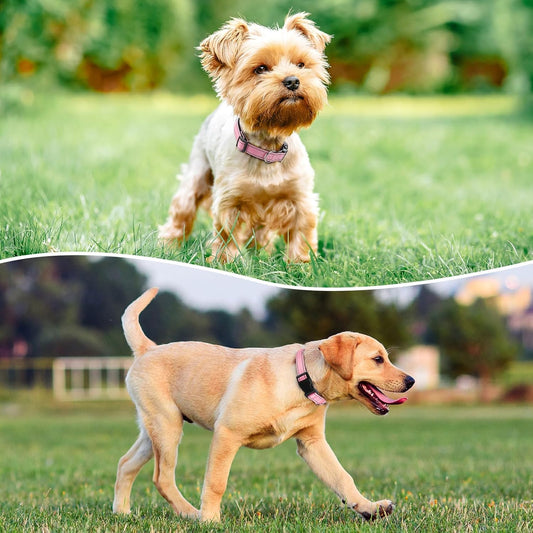 Reflective Dog Collar Padded with Soft Neoprene Breathable Quick Release Basic Dog Collars for Puppy Small Dogs Pink Girl