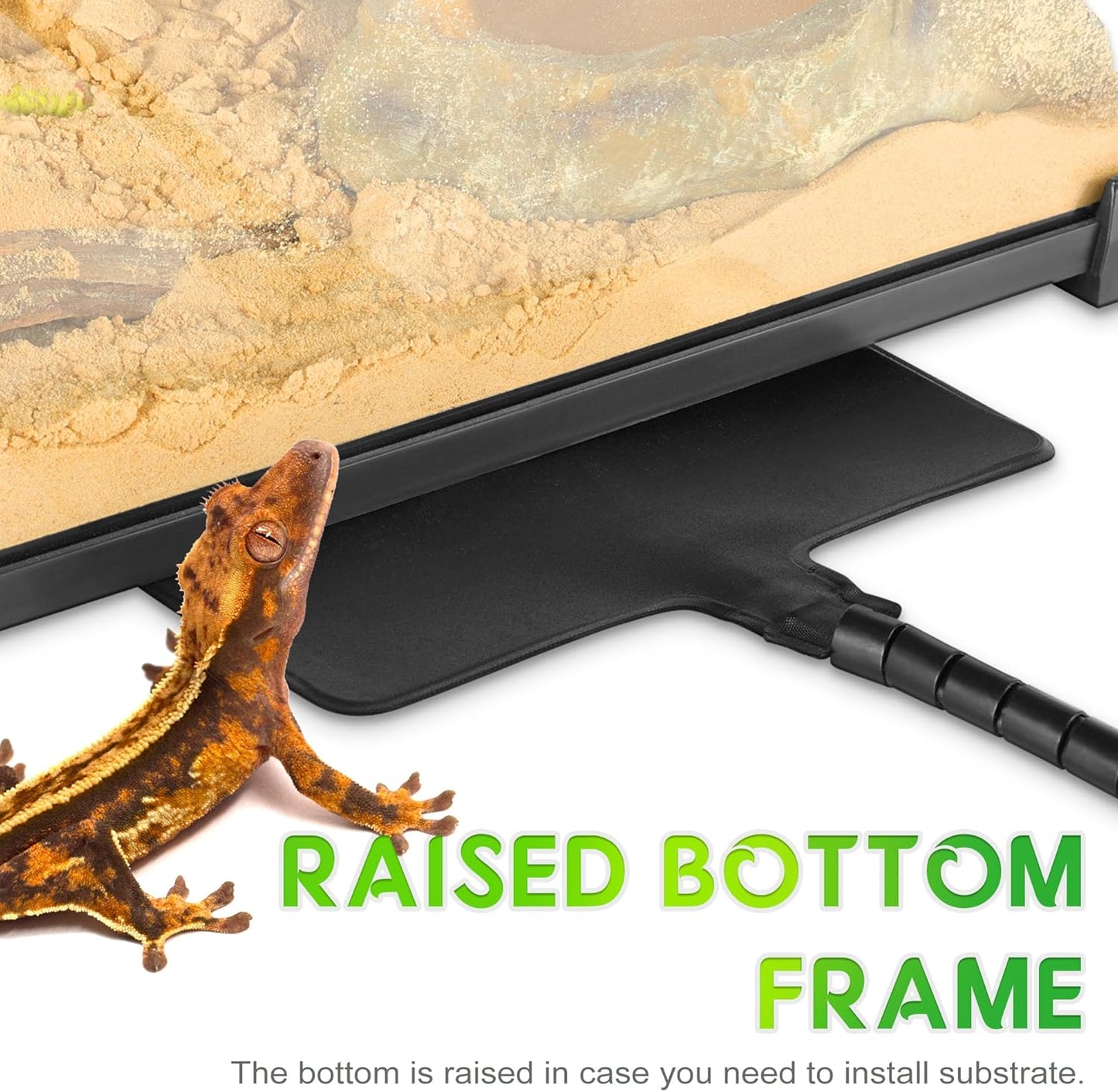 Mini Reptile Glass Terrarium 8"x8"x12" Durable Reptile Habitat Tank with Heat Resistant Aluminum Alloy Frame, Single Swinging Doors for no Jam by Sand and Other Debris - Pawvie
