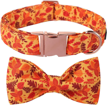Lionet Paws Dog Collar with Bowtie - Cute Cotton Adjustable Fall Bowtie Dog Collar with Metal Buckle for Small Medium Large Dog Girl Boy Gift, XL, Neck 16-26in