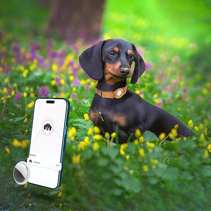 AirTag Dog Collar - Genuine Leather Dog Collar with Apple AirTag Holder and Metal Buckle - Smart GPS Tracking Pet Collars (Light Brown, XL, 20"-25" Neck Fit)