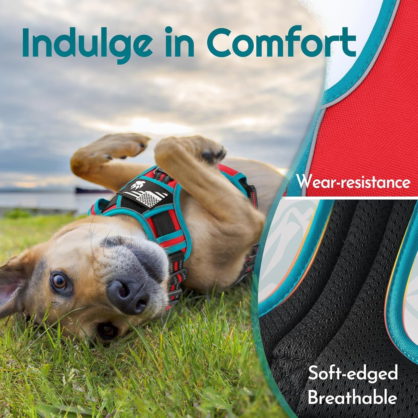 Eagloo Dog Harness for Large Dogs, Easy Wearing with 3 Buckles, Adjustable No Pull Pet Harness with 2 Rings for Walking, No Chock Reflective Soft Padded Vest with Control Handle, Red & Teal, XL