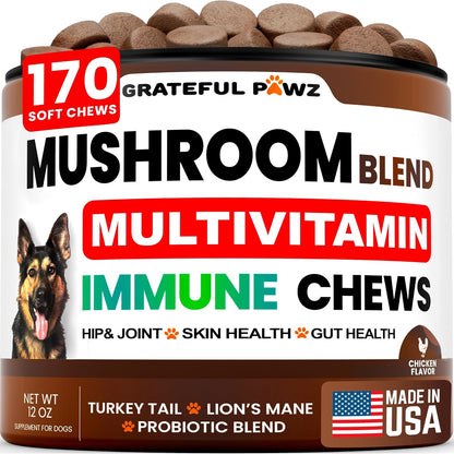 Mushroom Supplement for Dogs - 170 Chews - Mushrooms for Dogs - Turkey Tail, Reishi, Lion’s Mane, Glucosamine Multivitamin - Immune Booster, Gut, Hip & Joint Health Support Vitamins, Energy & Skin