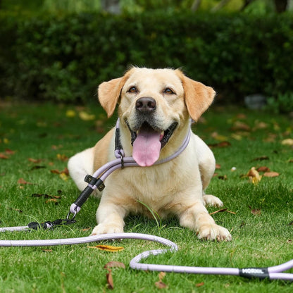 Rope Dog Leash with Two Handles, 6 Foot Heavy Duty Dog Leash with Aviation Aluminum Auto Locking Carabiner, Strong Nylon Pet Lead for Small, Medium, Large Dogs (Purple, 6FT-Two Handle)