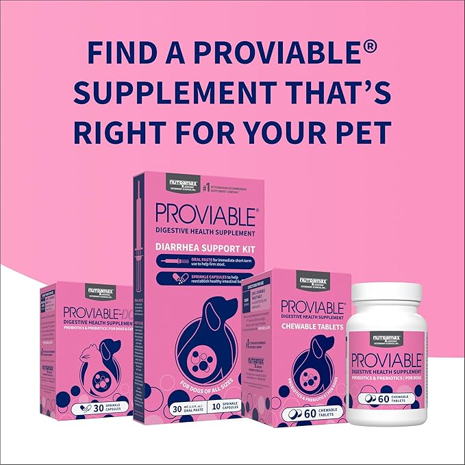 Nutramax Proviable Probiotics for Dogs, Daily Digestive Health Supplement with Multiple Strains of Bacteria, Dog Probiotics Plus Prebiotics, 60 Chewable Tablets,(Pack of 2)
