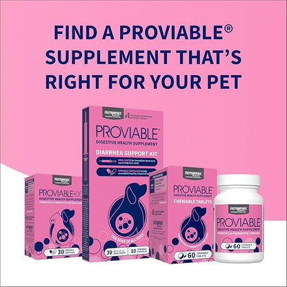 Nutramax Proviable Probiotics for Dogs, Daily Digestive Health Supplement with Multiple Strains of Bacteria, Dog Probiotics Plus Prebiotics, 60 Chewable Tablets,(Pack of 2)