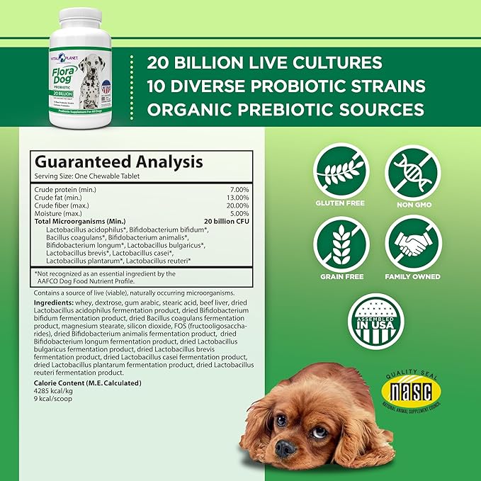 Vital Planet - Flora Dog Probiotic Chewable Tablets Supplement with 20 Billion Cultures and 10 Strains, High Potency Immune and Digestive Support Probiotics for Dogs, 30 Beef Flavored Chewable Tablets
