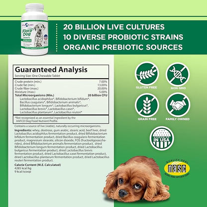 Vital Planet - Flora Dog Probiotic Chewable Tablets Supplement with 20 Billion Cultures and 10 Strains, High Potency Immune and Digestive Support Probiotics for Dogs, 30 Beef Flavored Chewable Tablets