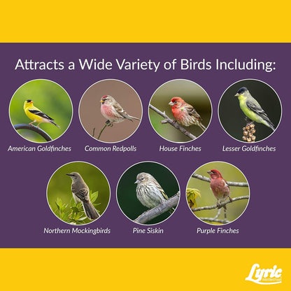Lyric Finch - Small Songbird Wild Bird Seed - Attracts Goldfinches, House Finches, Purple Finches & More - 20 lb. bag