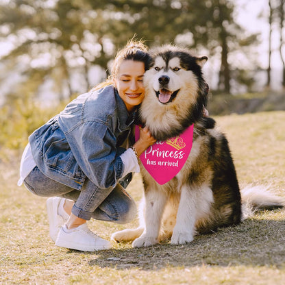 Puppy Bandana 2 Pcs, Princess Sassy Pet Scarf Gifts for Dog Girl, Pink Purple Cute Puppy Bandana for Medium to Large Pet Dogs On Birthday, Cute Girl Dog Scarf Kerchief, Gifts for Dogs Lovers