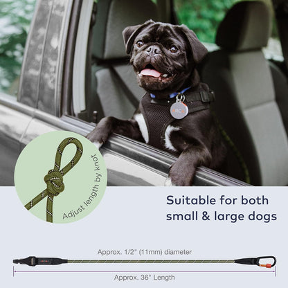 Dog Seat Belt for Car | Universal Dog Car Seatbelt | Durable Reflective Rope with Clip Hook Latch, Buckle and Carabiner- Safe and Secure Pet Safety Restraint (Army Green)