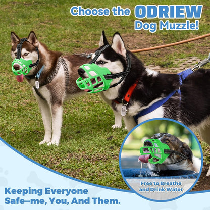 Dog Muzzle for Large Dogs, Breathable Basket Muzzles for Small, Medium and X-Large Aggressive Dog, Allows Panting Drinking, Suitable for Grooming Trimming Training (6, Luminous Green)