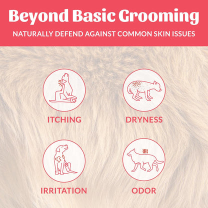 Skout's Honor Probiotic Dog Shampoo & Conditioner with Avocado Oil & Omega-3s, 97% Natural, Paraben & Sulfate-Free, Cruelty-Free, 16oz, Sunkissed Coconut