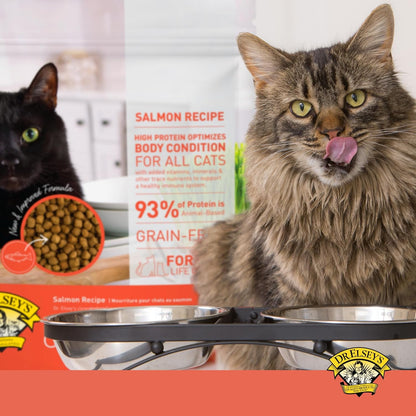 Dr. Elsey'S Cleanprotein Salmon Formula Dry Cat Food, 2 Pound (Pack of 1)