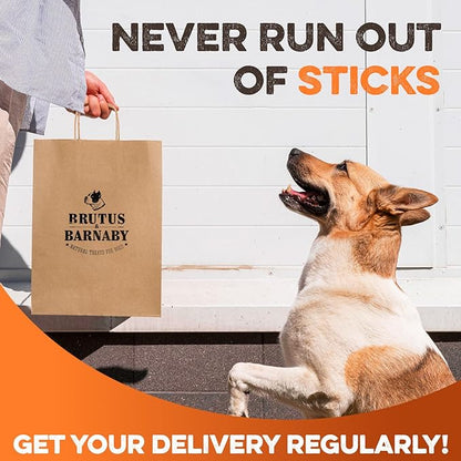 BRUTUS & BARNABY Beef Collagen Sticks for Dogs-Great Long Lasting Chew for All Dog Breeds-Odor Free, With Naturally Occurring Glucosamine & Chondroitin for Joint Health-Great for Any Dog Size(5 Count)