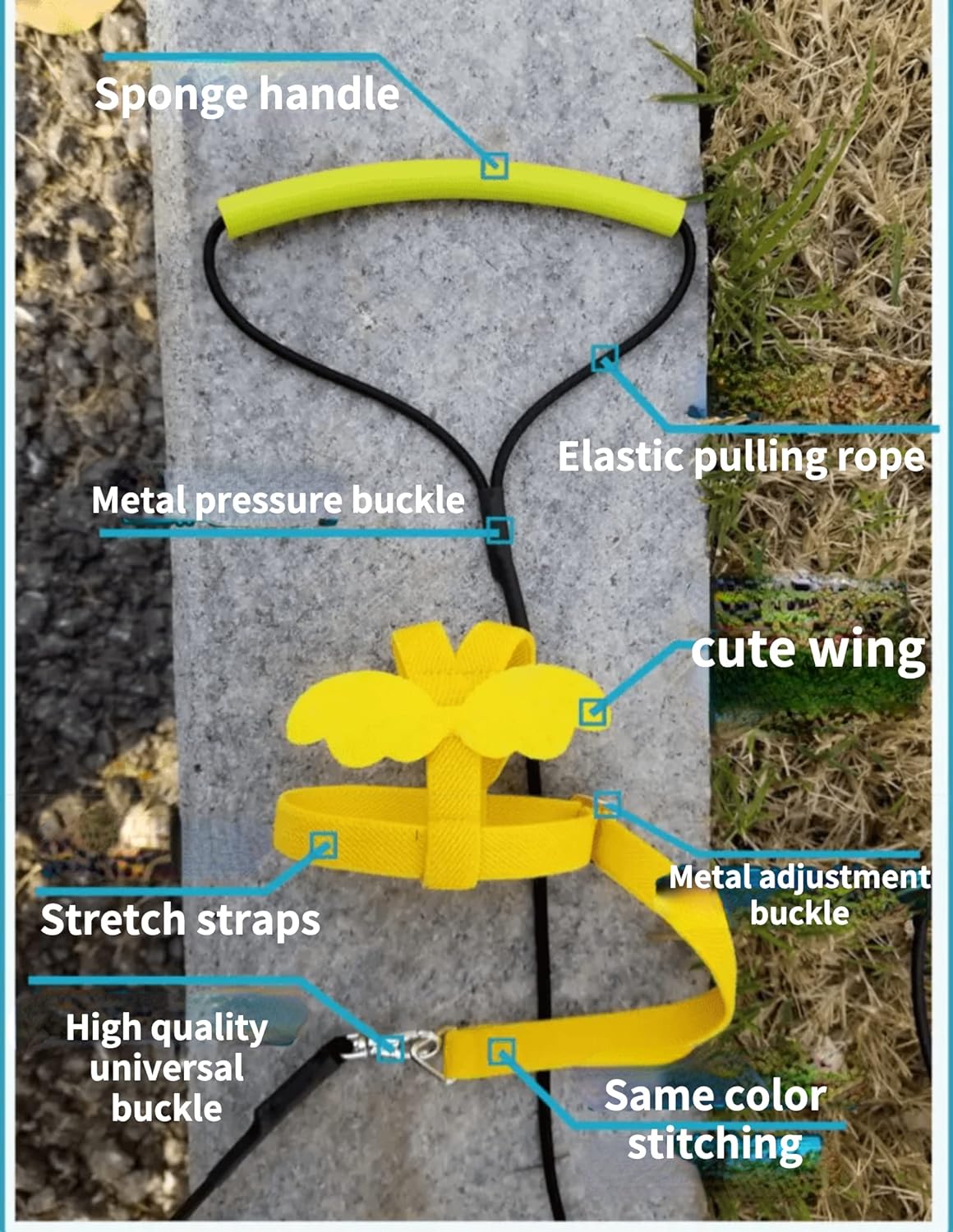 Pet Parrot Bird Harness Leash Adjustable Bird Flying Harness Traction Rope with Cute Wing for Parrots Pigeons Budgerigar Lovebird Cockatiel Mynah Outdoor Training Toy (M, Blue)