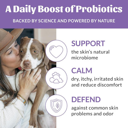 Skout's Honor Probiotic Pet Detangler Spray - Hydrating & Conditioning with Avocado Oil, 97% Natural, Paraben & Sulfate-Free, softens for a More brushable Coat, Daily Use, 8oz, Lavender, 2-Pack