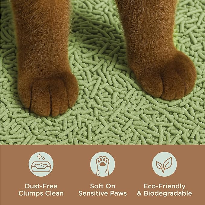 Natural Tofu Cat Litter, Fast Clumping and Scoops Easy, Dust-Free, Low Tracking, Quick Drying & Odor Control, Eco-Friendly Plant-Based Cat Litter 5.5lb/88oz – Calm Matcha (1 Pack)