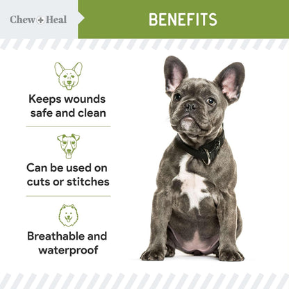 Pet Liquid Bandage for Dogs - 4 oz Spray with Aloe - Wound Care for Dogs Including Cuts, Scrapes, and Stitches - Breathable and Waterproof