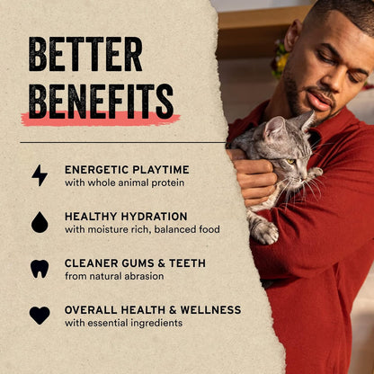 Vital Essentials Freeze Dried Raw Single Ingredient Cat Treats, Chicken Hearts, 0.8 OZ (Pack of 3)