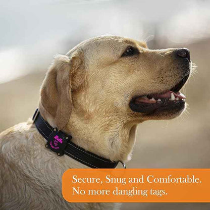 PAWBLEFY Personalized airtag Dog Collar Holder - Waterproof Ultra Durable Compatible with Apple air tag for Dogs & Cats - fits All Collar Width