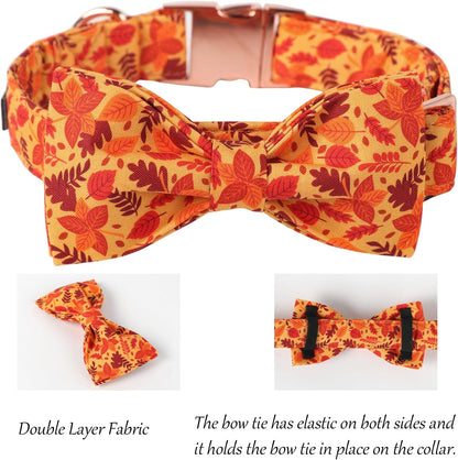 Lionet Paws Dog Collar with Bowtie - Cute Cotton Adjustable Fall Bowtie Dog Collar with Metal Buckle for Small Medium Large Dog Girl Boy Gift, L, Neck 16-24in