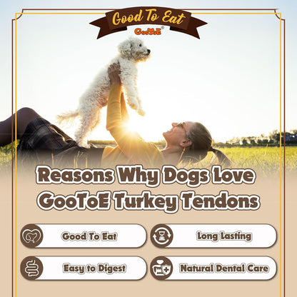 Gootoe Turkey Tendons for Dogs – All-Natural, Hypoallergenic Dog Treats, Rawhide Alternative, Long Lasting Puppy Chews, Healthy Dog Treats for Small Breeds, Ring, 16 oz Pack (1 lb)
