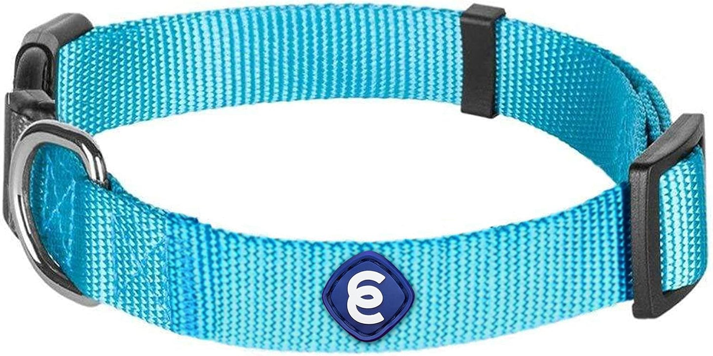 Blueberry Pet Essentials X-Small Dog Collar in Turquoise | Adjustable & Eco-Friendly Durable Nylon Strap | Classic Collar for X-Small Dogs, Boy & Girl Pets