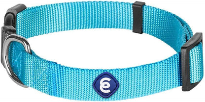 Blueberry Pet Essentials Turquoise Dog Collar | Adjustable Eco-Friendly Nylon Strap | Dog Collars for Small Dogs, Boy Dog Collar, Puppy Collar | 12-16 Inches