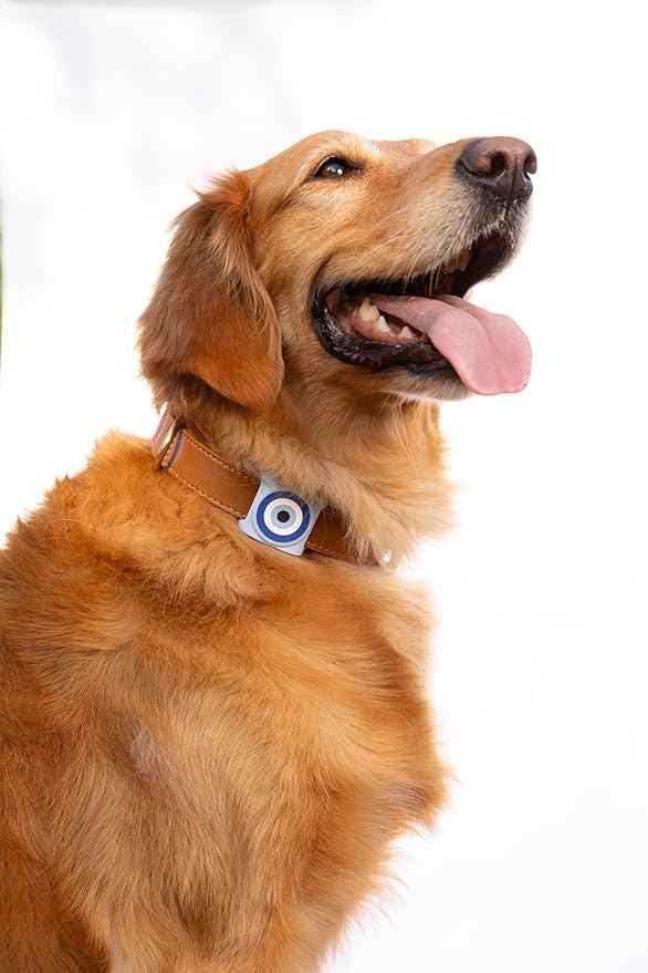 Two Tails Evil Eye Dog Collar Holder Compatible with Apple AirTag Tracker, Durable Silicone Slide-On Case for Pets, Secure Finder Device Cover, Easy to Clean