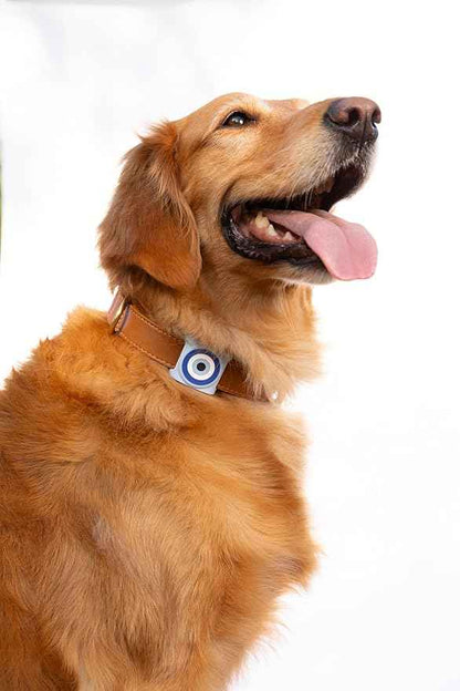 Two Tails Evil Eye Dog Collar Holder Compatible with Apple AirTag Tracker, Durable Silicone Slide-On Case for Pets, Secure Finder Device Cover, Easy to Clean