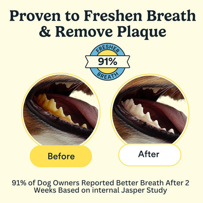 Jasper Dog Dental Wipes, Dog Finger Toothbrush Disposable, Tooth Brush Cleaning Wipes, Pet Teeth Cleaning Dental Care, 60 Count, Coconut