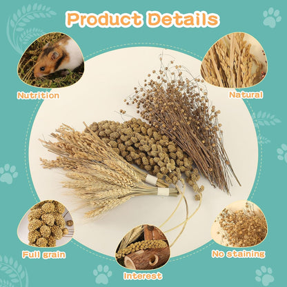 Hamster Spray Set - Natural Snack Grains & Chew Toys for Cage Decoration Accessories, Soft Bedding for Dwarf Syrian Hamsters, Gerbils, Mice & Small Pets