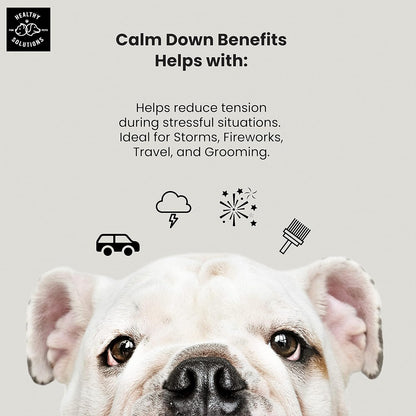 Calming Chews for Dogs - Dog Calming Treats for Anxiety & Stress Relief with Melatonin and Ginger - Aid with Storms, Grooming, Fireworks, Separation, Travel, Motion Sickness, & Sleep - 120 Chews
