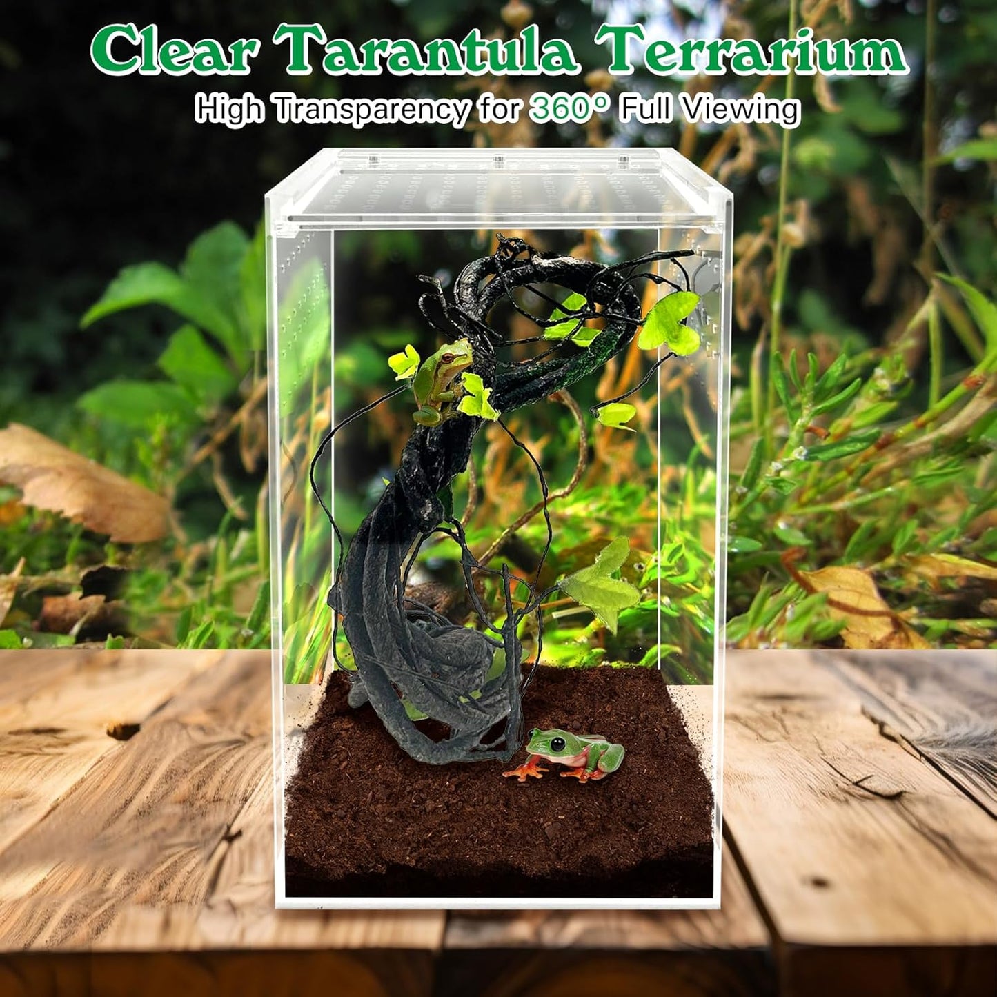 Reptile Terrarium Enclosure 6"x6"x10" Tall Acrylic Tarantula Breeding Box Magnetic Hermit Crab Habitat Vertical Tank Transparent Jumping Spider Cage for Insect Mantis Scorpion Sling Isopods