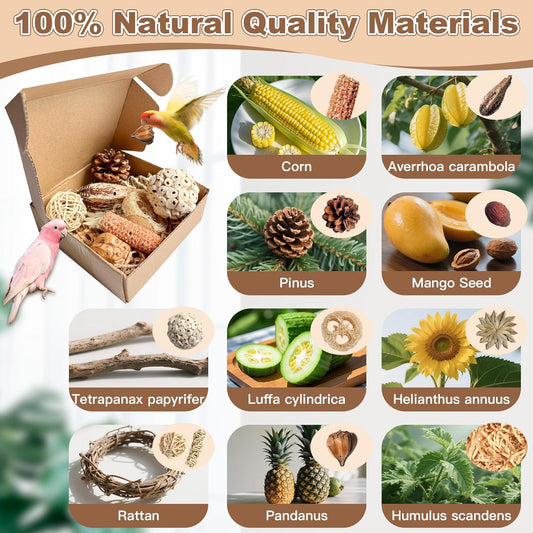 2 in 1 Parrot Toys, Tyotrbs Parakeet Foraging Box DIY Hanging String with Comes with 2 Hooks Bird Toy for Parakeets,Cockatiels,Conures,Love Birds Cage Accessories for Small to Medium Birds