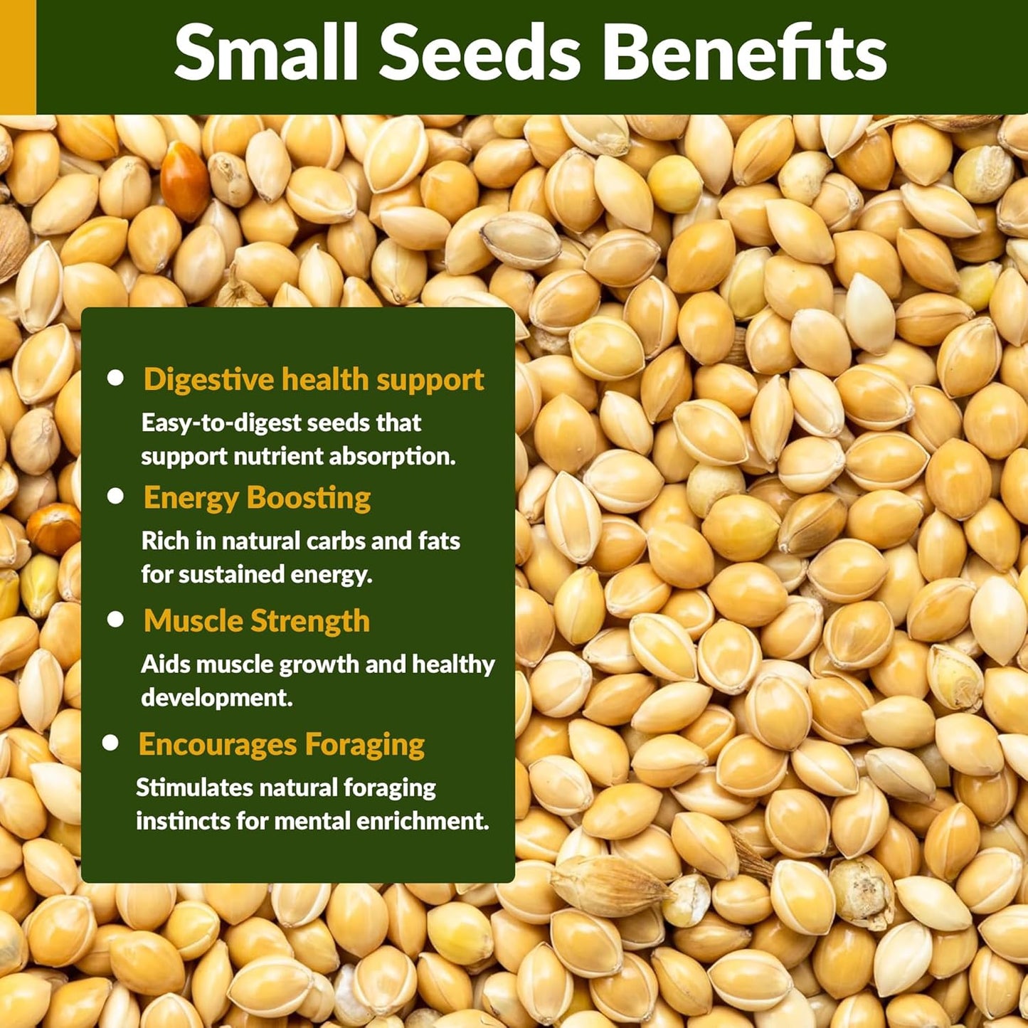 Wildlife Organic White Millet for Bird Feeding and Wildlife Bird attracting, Non-GMO and USA Grown, 25 lbs