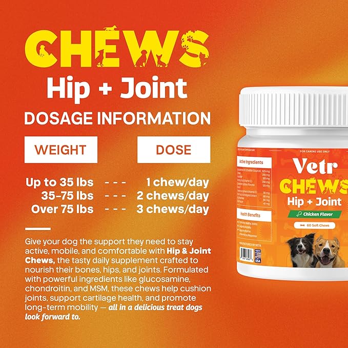 Vetr Hip and Joint Chicken Flavored Chews for Dogs - Glucosamine Chondroitin MSM Supplement - 120 Chewable Tablets - Vet-Formulated in USA