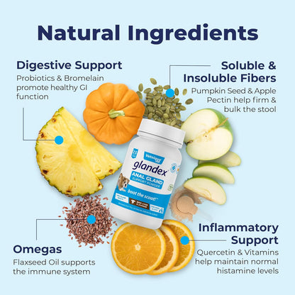 Vetnique Labs Glandex Dog Fiber Supplement Powder for Anal Glands with Pumpkin, Digestive Enzymes & Dog Probiotics for Digestive Health - Vet Recommended - Boot The Scoot (Beef Liver, 2.5oz Powder)