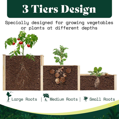 AMERLIFE 3-Tier Raised Garden Bed for Outdoor Gardening, Fir Wood Planter Box with Dividers, Tool-Free Assembly, Garden Box Perfect for Vegetables, Herbs, and Flowers