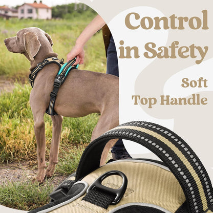 rabbitgoo Dog Harness Small Sized, No Pull Pet Harness with 3 Buckles, Adjustable Soft Padded Vest with Control Handle, Walking Reflective Pet Vest for Small Dogs, Beige, S