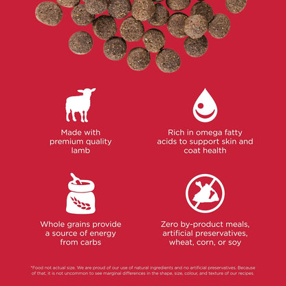 Go! Solutions Skin + Coat Care, Dry Dog Food, Lamb Recipe with Grains, 3.5 lb Bag