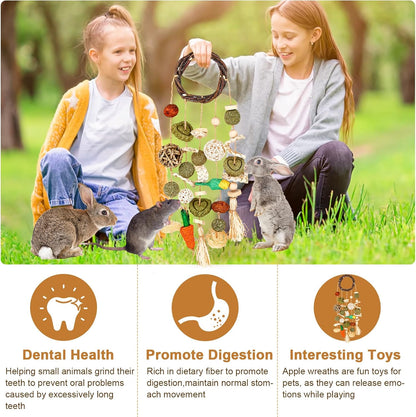 VESPRO Bunny Chew Toys, Rabbit Cage Hanging Chewing Toy and Treats Snack Ring, for Rabbits Chinchilla Guinea Pig Hamsters Grinding Teeth with Other Small Pets, Natural Materials Handwoven (5 Strings)