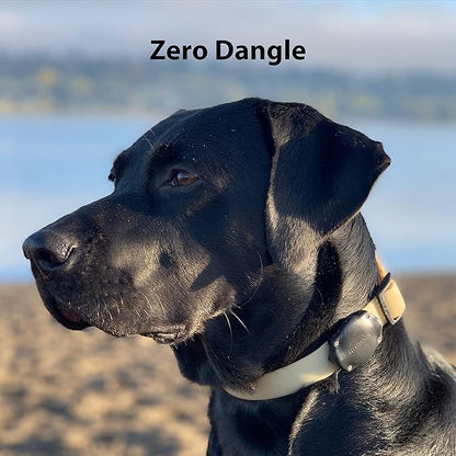 Elevation Lab AirTag Dog Collar Holder - TagVault™ - Secure Thru-Mount, IP69 Waterproof, Doesn't Dangle, Fits All Width Collars (2 Pack)