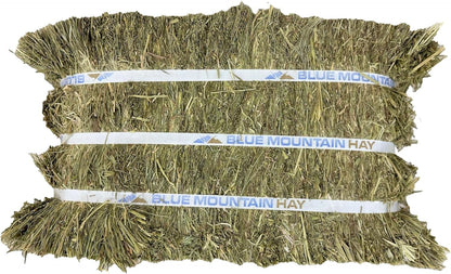 Blue Mountain Hay High-Altitude Teff Grass Hay, 50lb Easy Flake Box - Low NSC & High Fiber for Easy Digestion and Weight Management - Ideal for Horses, Goats, Rabbits, Guinea Pigs & Other Small Pets