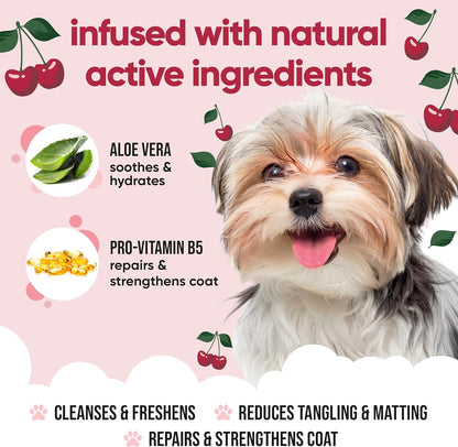 Black Cherry Dog Shampoo by Buddycare | Deep Cleansing Shampoo for Dogs | Black Cherry Scented | with Aloe Vera and Pro Vitamin B5 (169.07oz)
