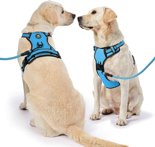 NESTROAD No Pull Dog Harness,Adjustable Oxford Dog Vest Harness with Leash,Reflective No-Choke Pet Harness with Easy Control Soft Handle for Small Dogs(X-Small,Blue)