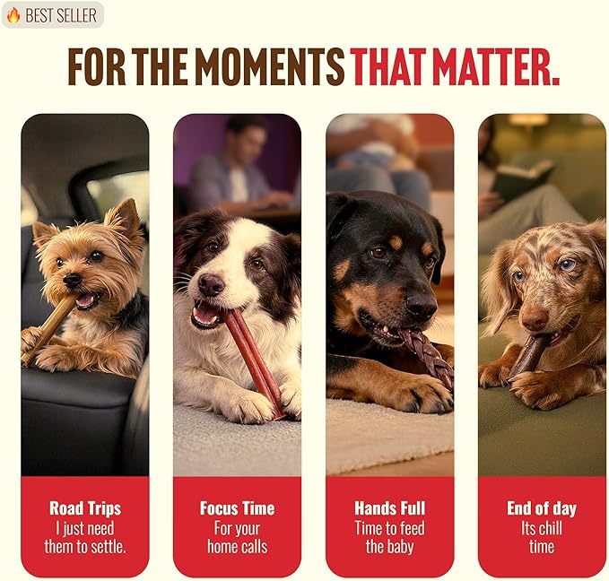 Natural Farm Odor-Free Bully Coated Gourmet Collagen Sticks (6 Inch, 10 Pack), Real Bully Beef Coated, 95% Natural Collagen, Supports Healthy Joints, Skin & Coat - Best for Small & Medium Dogs