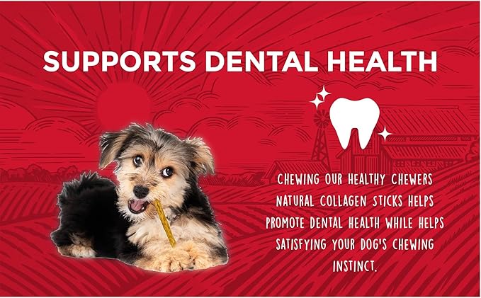 Healthy Chewers, Natural Collagen and Beef Sticks for Dogs, High Protein and Limited Ingredient Dog Chews, 100 Count (Pack of 2)