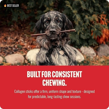 Natural Farm Odor-Free Bully Coated Gourmet Collagen Sticks (6 Inch, 10 Pack), Real Bully Beef Coated, 95% Natural Collagen, Supports Healthy Joints, Skin & Coat - Best for Small & Medium Dogs